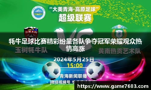 牦牛足球比赛精彩纷呈各队争夺冠军荣耀观众热情高涨