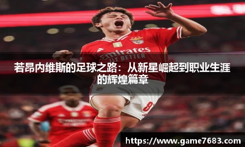 若昂内维斯的足球之路：从新星崛起到职业生涯的辉煌篇章